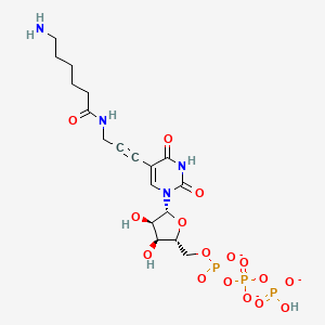 Amino-11-UTP