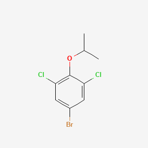 molecular formula C9H9BrCl2O B1372372 5-Bromo-1,3-dichloro-2-isopropoxybenzene CAS No. 1133116-33-2