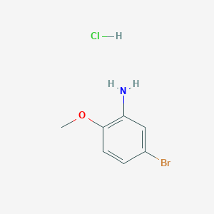 molecular formula C7H9BrClNO B1372480 5-溴-2-甲氧基苯胺盐酸盐 CAS No. 1072945-54-0