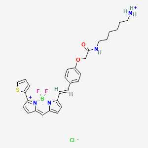 molecular formula C29H32BClF2N4O2S B13725250 6-[[2-[4-[(E)-2-(2,2-difluoro-12-thiophen-2-yl-3-aza-1-azonia-2-boranuidatricyclo[7.3.0.03,7]dodeca-1(12),4,6,8,10-pentaen-4-yl)ethenyl]phenoxy]acetyl]amino]hexylazanium;chloride 