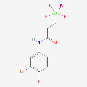 Potassium (3-((3-bromo-4-fluorophenyl)amino)-3-oxopropyl)trifluoroborate