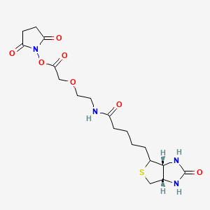 molecular formula C18H26N4O7S B13725483 (2,5-dioxopyrrolidin-1-yl) 2-[2-[5-[(3aR,6aS)-2-oxo-1,3,3a,4,6,6a-hexahydrothieno[3,4-d]imidazol-4-yl]pentanoylamino]ethoxy]acetate 