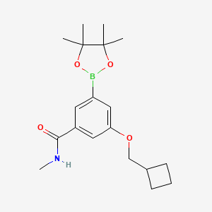 3-(Cyclobutylmethoxy)-N-methyl-5-(4,4,5,5-tetramethyl-1,3,2-dioxaborolan-2-yl)benzamide