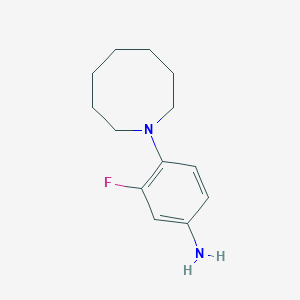 molecular formula C13H19FN2 B1372653 4-(Azocan-1-yl)-3-fluoroaniline CAS No. 1092279-99-6