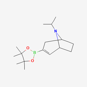 (1R,5S)-8-Isopropyl-3-(4,4,5,5-tetramethyl-1,3,2-dioxaborolan-2-yl)-8-azabicyclo[3.2.1]oct-2-ene