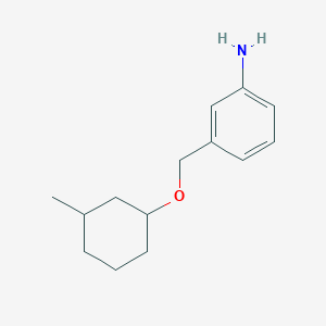 molecular formula C14H21NO B1372777 3-{[(3-甲基环己基)氧基]甲基}苯胺 CAS No. 1037157-93-9