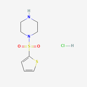 molecular formula C8H13ClN2O2S2 B1372827 1-(2-Thienylsulfonyl)piperazine hydrochloride CAS No. 1032757-93-9