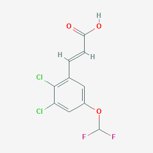 molecular formula C10H6Cl2F2O3 B13728553 3-(2,3-Dichloro-5-(difluoromethoxy)phenyl)acrylic acid 