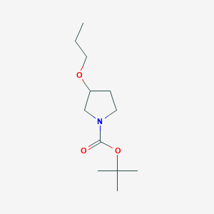 molecular formula C12H23NO3 B1372912 Tert-butyl 3-propoxypyrrolidine-1-carboxylate CAS No. 1175835-99-0