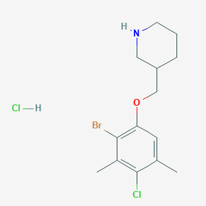 3-[(2-Bromo-4-chloro-3,5-dimethylphenoxy)methyl]-piperidine hydrochloride