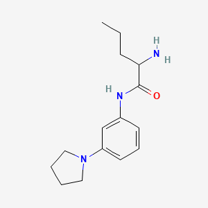 molecular formula C15H23N3O B1373048 2-amino-N-[3-(pyrrolidin-1-yl)phenyl]pentanamide CAS No. 1218021-92-1