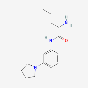 molecular formula C15H23N3O B1373048 2-氨基-N-[3-(吡咯烷-1-基)苯基]戊酰胺 CAS No. 1218021-92-1