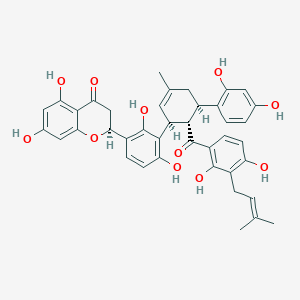 molecular formula C40H38O11 B13730862 Kuwanon O 