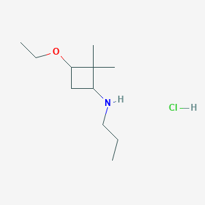 molecular formula C11H24ClNO B1373137 3-ethoxy-2,2-dimethyl-N-propylcyclobutan-1-amine hydrochloride CAS No. 1333948-29-0