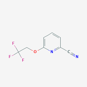 molecular formula C8H5F3N2O B1373212 6-(2,2,2-Trifluoroethoxy)pyridine-2-carbonitrile CAS No. 1256786-21-6