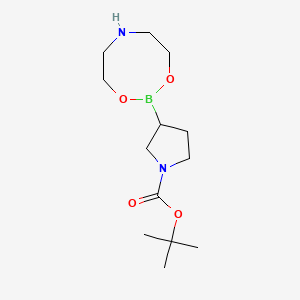 B1373238 Tert-butyl 3-(1,3,6,2-dioxazaborocan-2-yl)pyrrolidine-1-carboxylate CAS No. 1072944-29-6