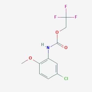 molecular formula C10H9ClF3NO3 B1373311 2,2,2-三氟乙基 N-(5-氯-2-甲氧基苯基)氨基甲酸酯 CAS No. 1087788-91-7
