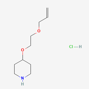 molecular formula C10H20ClNO2 B1373413 4-[2-(Allyloxy)ethoxy]piperidine hydrochloride CAS No. 1220033-17-9