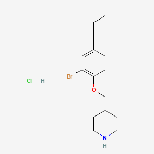 molecular formula C17H27BrClNO B1373427 4-{[2-Bromo-4-(tert-pentyl)phenoxy]-methyl}piperidine hydrochloride CAS No. 1220031-10-6