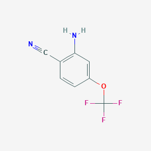 molecular formula C8H5F3N2O B1373435 2-氨基-4-(三氟甲氧基)苯甲腈 CAS No. 1260847-67-3