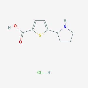 molecular formula C9H12ClNO2S B1373645 5-(2-Pyrrolidinyl)-2-thiophenecarboxylic acid hydrochloride CAS No. 1269054-05-8