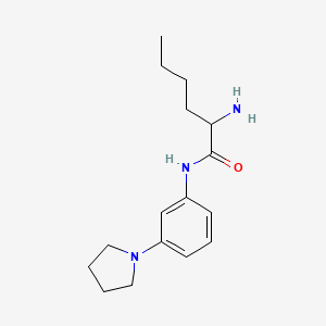 molecular formula C16H25N3O B1373672 2-amino-N-[3-(pyrrolidin-1-yl)phenyl]hexanamide CAS No. 1218166-69-8