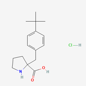 2-[(4-Tert-butylphenyl)methyl]pyrrolidine-2-carboxylic acid;hydrochloride