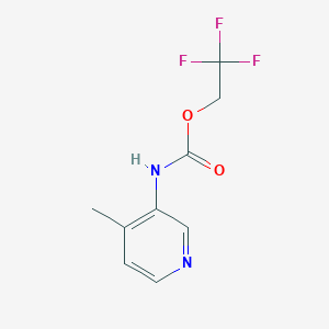 molecular formula C9H9F3N2O2 B1374023 2,2,2-三氟乙基 N-(4-甲基吡啶-3-基)氨基甲酸酯 CAS No. 1342023-74-8