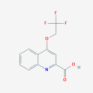 molecular formula C12H8F3NO3 B1374060 4-(2,2,2-Trifluoroethoxy)quinoline-2-carboxylic acid CAS No. 1281584-65-3