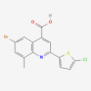 molecular formula C15H9BrClNO2S B1374067 6-Bromo-2-(5-chlorothiophen-2-yl)-8-methylquinoline-4-carboxylic acid CAS No. 1405749-71-4