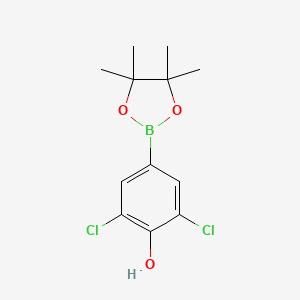 molecular formula C12H15BCl2O3 B1374278 2,6-Dichloro-4-(4,4,5,5-tetramethyl-1,3,2-dioxaborolan-2-yl)phenol CAS No. 1003298-87-0