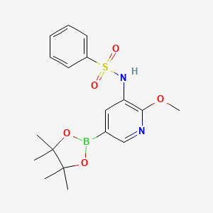 molecular formula C18H23BN2O5S B1374287 N-[2-methoxy-5-(tetramethyl-1,3,2-dioxaborolan-2-yl)pyridin-3-yl]benzenesulfonamide CAS No. 1083326-67-3