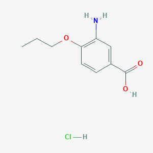molecular formula C10H14ClNO3 B1374389 3-氨基-4-丙氧基苯甲酸盐酸盐 CAS No. 59691-14-4