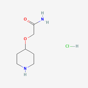 molecular formula C7H15ClN2O2 B1374471 2-(哌啶-4-氧基)乙酰胺盐酸盐 CAS No. 1354949-81-7