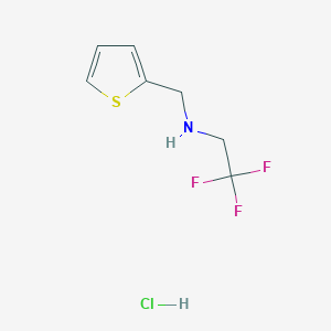 molecular formula C7H9ClF3NS B1374480 （噻吩-2-基甲基）（2,2,2-三氟乙基）胺盐酸盐 CAS No. 1354963-79-3