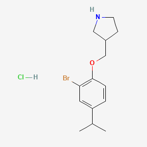 molecular formula C14H21BrClNO B1374535 3-[(2-溴-4-异丙苯氧基)甲基]吡咯烷盐酸盐 CAS No. 1219964-51-8