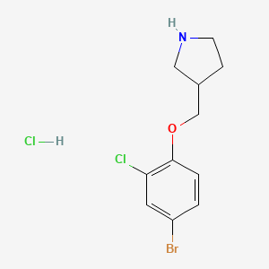 molecular formula C11H14BrCl2NO B1374537 3-[(4-Bromo-2-chlorophenoxy)methyl]pyrrolidine hydrochloride CAS No. 1219949-19-5