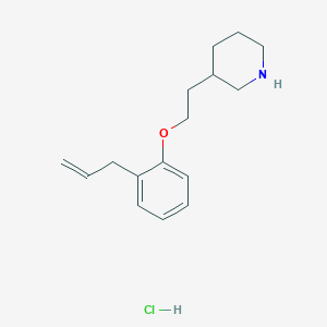 molecular formula C16H24ClNO B1374542 3-[2-(2-烯丙基苯氧基)乙基]哌啶盐酸盐 CAS No. 1220029-01-5