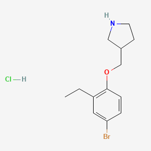 molecular formula C13H19BrClNO B1374550 3-[(4-溴-2-乙基苯氧基)甲基]吡咯烷盐酸盐 CAS No. 1219956-83-8