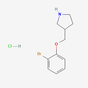 molecular formula C11H15BrClNO B1374556 3-[(2-溴苯氧基)甲基]吡咯烷盐酸盐 CAS No. 1220036-81-6