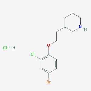 molecular formula C13H18BrCl2NO B1374558 3-[2-(4-溴-2-氯苯氧基)乙基]哌啶盐酸盐 CAS No. 1220018-92-7
