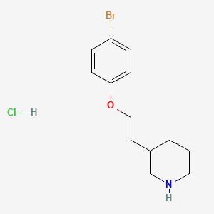 molecular formula C13H19BrClNO B1374564 3-[2-(4-Bromophenoxy)ethyl]piperidine hydrochloride CAS No. 1219982-83-8