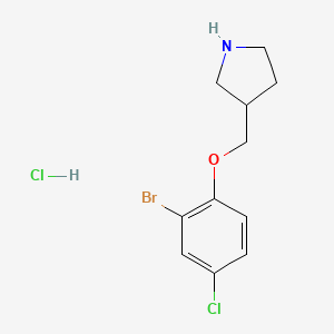 molecular formula C11H14BrCl2NO B1374565 3-[(2-溴-4-氯苯氧基)甲基]吡咯烷盐酸盐 CAS No. 1219971-77-3