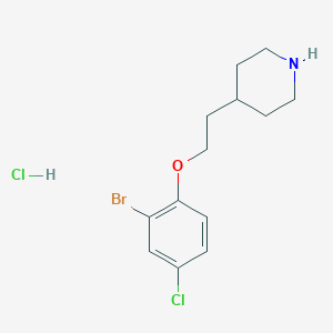 molecular formula C13H18BrCl2NO B1374567 4-[2-(2-溴-4-氯苯氧基)乙基]哌啶盐酸盐 CAS No. 1220019-56-6