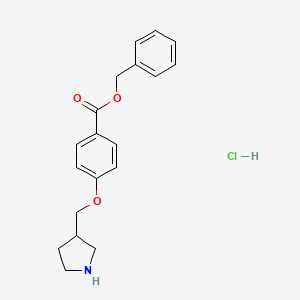 molecular formula C19H22ClNO3 B1374568 Benzyl 4-(3-pyrrolidinylmethoxy)benzoate hydrochloride CAS No. 1220032-39-2