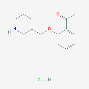 molecular formula C14H20ClNO2 B1374570 1-[2-(3-哌啶基甲氧基)苯基]-1-乙酮盐酸盐 CAS No. 1220021-13-5