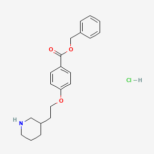 molecular formula C21H26ClNO3 B1374577 Benzyl 4-[2-(3-piperidinyl)ethoxy]benzoate hydrochloride CAS No. 1220016-50-1