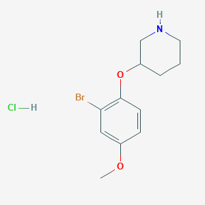 molecular formula C12H17BrClNO2 B1374579 3-(2-Bromo-4-methoxyphenoxy)piperidine hydrochloride CAS No. 1220017-01-5