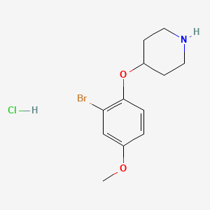 molecular formula C12H17BrClNO2 B1374584 4-(2-Bromo-4-methoxyphenoxy)piperidine hydrochloride CAS No. 1220017-19-5