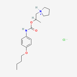 1-pyrrolidin-1-ium-1-ylpropan-2-yl N-(4-butoxyphenyl)carbamate;chloride